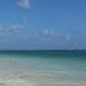 Meet your Posher, Norine